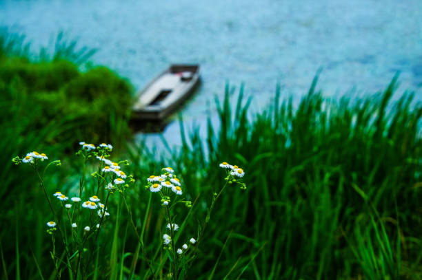 Spring of Changnyeong-woo Swamp