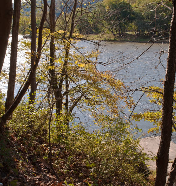 istock The Allegheny River as seen through the beginning of fall foliage 1057393392