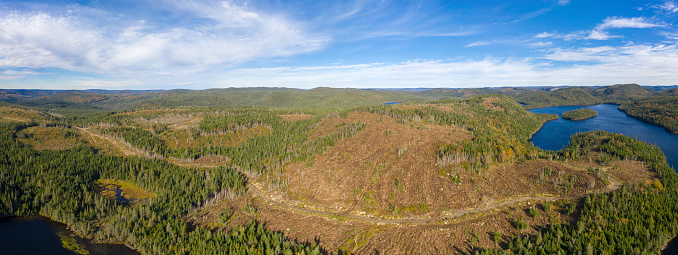 Panoramic Aerial View of Deforestation Area in Boreal Forest, Canada