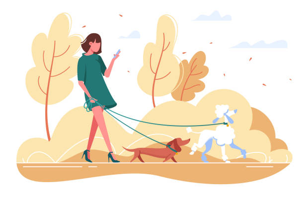 stockillustraties, clipart, cartoons en iconen met jonge vrouw wandelingen met de hond door het bos. - herfst vrouw
