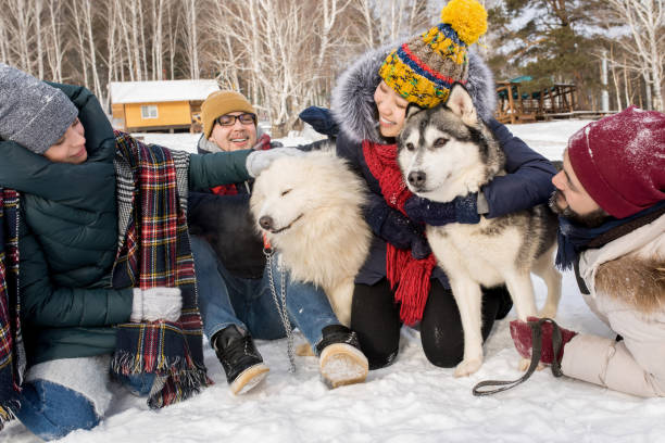 istock Friends Playing with Dogs 1057403326