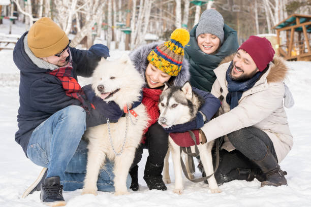 istock Friends Playing with Dogs in Snow 1057403330