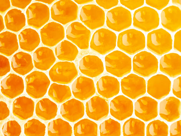 istock bee honeycomb closeup, fresh stringy dripping sweet honey, macro background 1057406532
