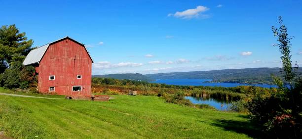 Large Abandoned Red Barn with Waters in Background During Autumn Sunlit vintage red barn on a hillside with lake waters in the distance; bright colors of green, blue and red. lake seneca stock pictures, royalty-free photos & images