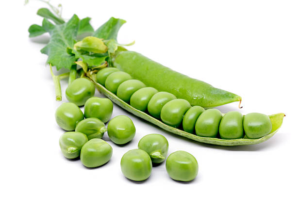 Fresh green pea pod and peas stock photo