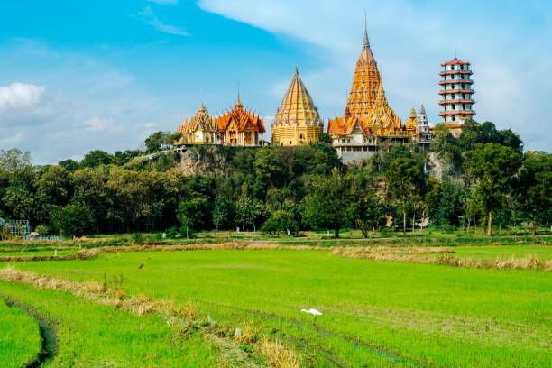 自然寺カンチャナブリ タイ ワット tum sua のグリーン ライス フィールド美容 - tiger cave temple kanchanaburi province ストックフォトと画像