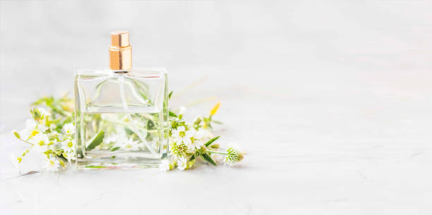 istock Perfume bottle with white flowers and copy space, white floral scent perfume in transparent bottle 1057427706