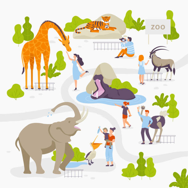 63 Zoo Entrance Drawing Illustrations & Clip Art - iStock