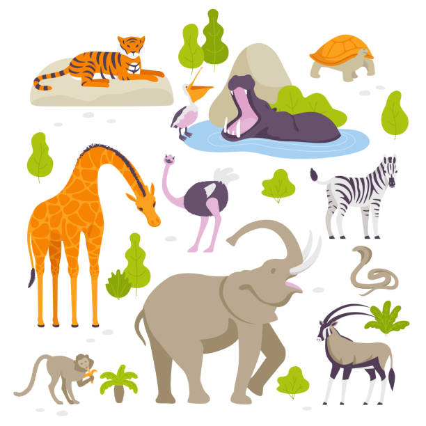 Wild animals in the zoo set of vector illustrations in flat design isolated on white background Wild animals in the zoo set of vector illustrations in flat design isolated on white background. Green bushes and trees around. african antelope stock illustrations