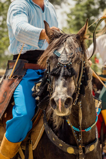 istock Horse head with long mane and partial harness 1057439982