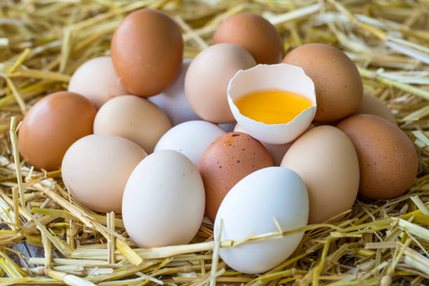 istock Many eggs lie on the background of hay, top view. 1057441756