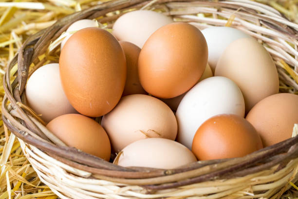 istock Many eggs lie on the background of hay, top view. 1057442042