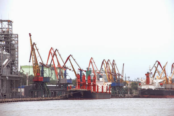 istock Elevating complex for transshipment of grain and oilseeds as part of a reloading terminal. Transportation of agricultural products. 1057446622