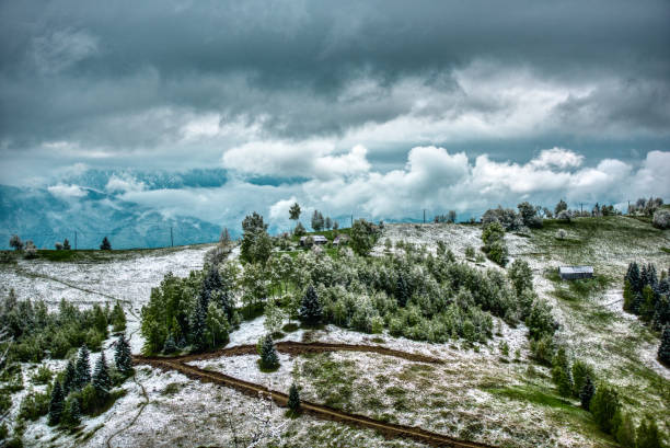 horizontal nature background of winter day on the hill with trees and cloudy sky.