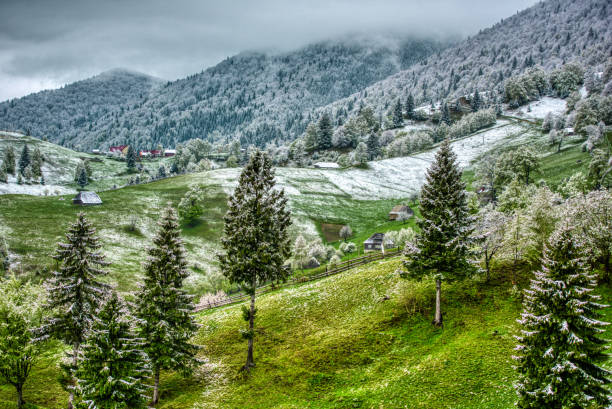 istock snow over the nature 1057458774