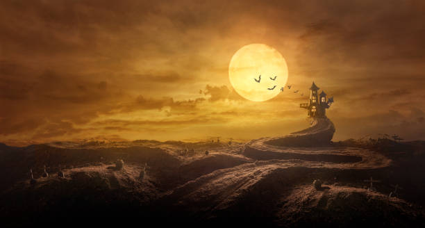 halloween background through stretched road grave to castle spooky in night of full moon and bats flying - cemetery halloween moon spooky imagens e fotografias de stock