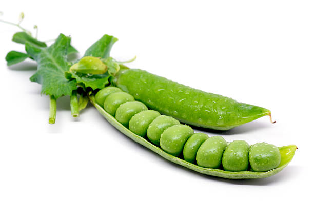 Fresh green pea pod and peas stock photo