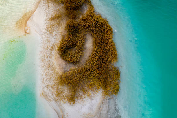 istock Top down view at island on azure lake. 1057468914