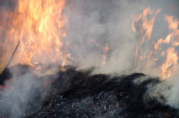istock Demon Of The Fire 1057469076