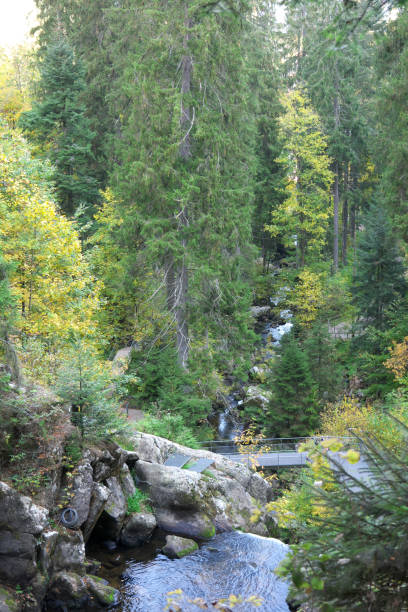 istock Triberger Waterfall, the highest waterfall in Germany 1057477442