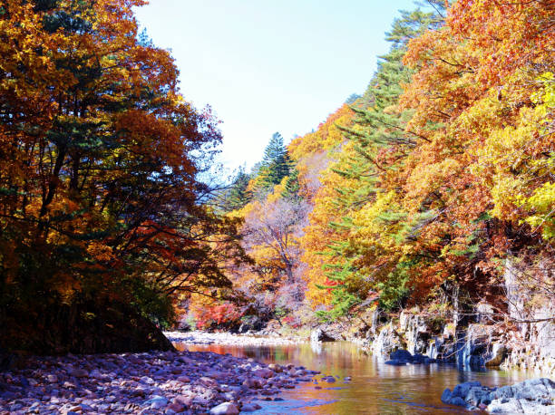 istock VH516 Seoraksan National Park 1057478268