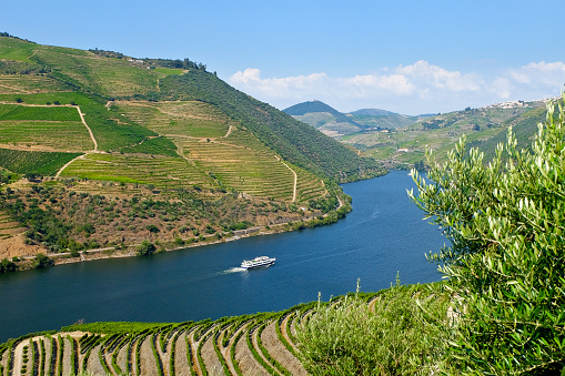 View to the famous Douro Valley in Portugal. The Alto Douro wine region is the oldest wine-growing region in the world and has been a UNESCO World Heritage Site since 2001.