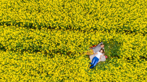 Directly above view of couple lying on blanket on rape field