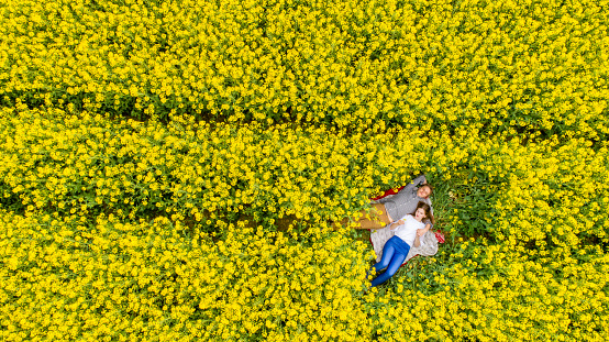 Directly above view from drone of couple lying on blanket on rape field