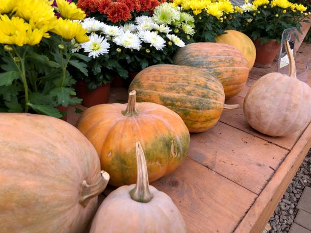 istock Colours of autumn 1057489846
