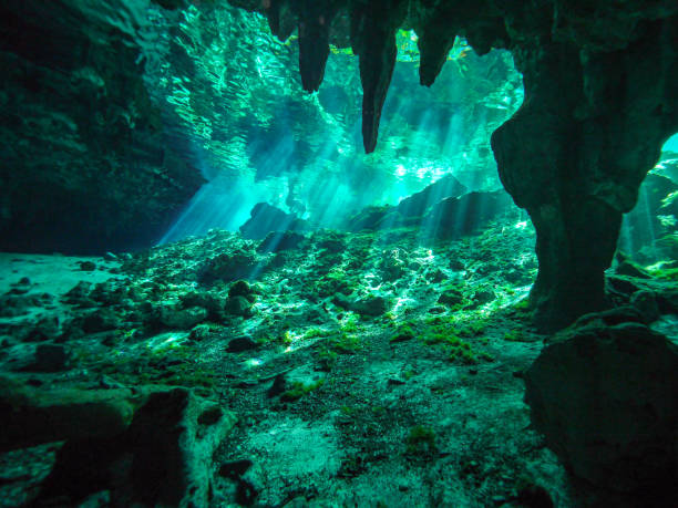 istock Cenote scuba diving, underwater cave in Mexico 1057491826