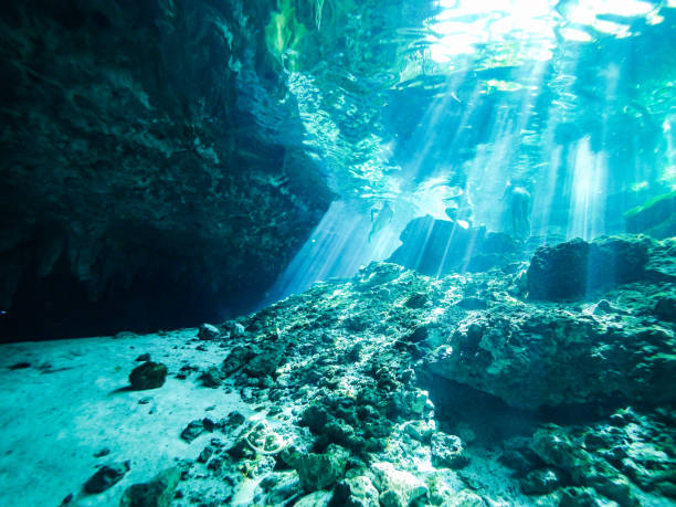 istock Cenote scuba diving, underwater cave in Mexico 1057491840