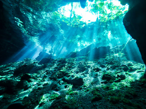 istock Cenote scuba diving, underwater cave in Mexico 1057491842