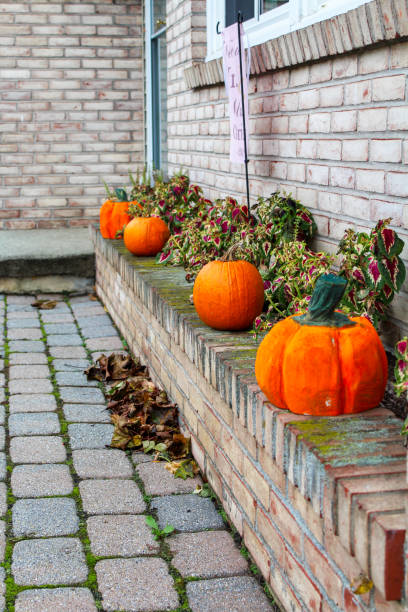istock Pumpkins on a brick garden wall 1057492120