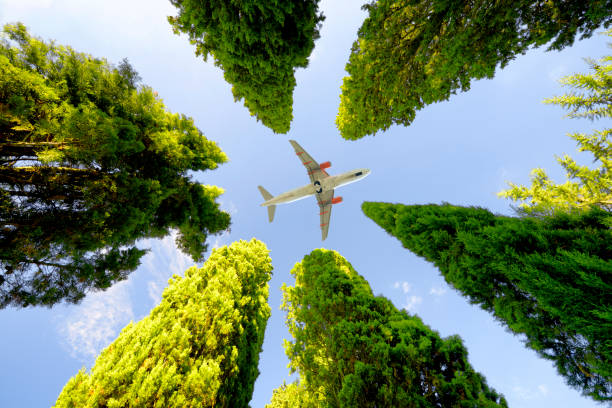 aereo che sorvola il cipresso nella regione del chianti, toscana, italia - agriculture winemaking cultivated land diminishing perspective foto e immagini stock