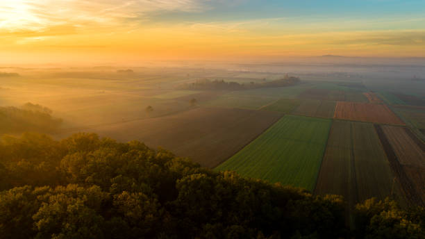 istock View of fields and forest in Slovenia 1057492392