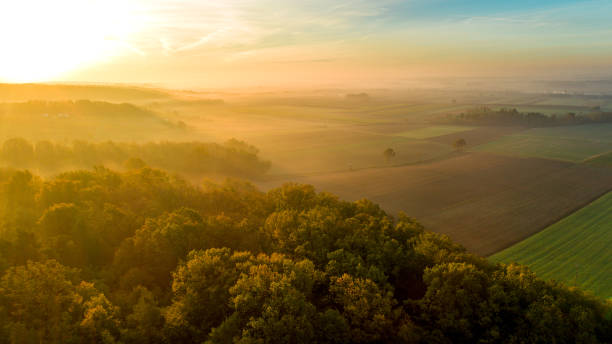istock View of fields and forest in Slovenia 1057492444