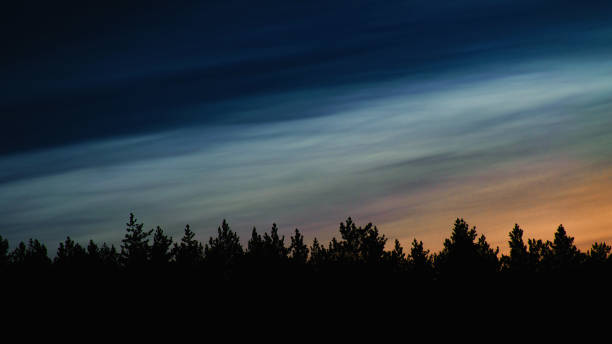 istock dark silhouette of a night pine forest on the sky background 1057494420