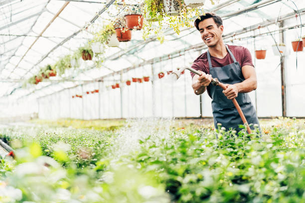istock Gardener watering plants in the nursery 1057500038