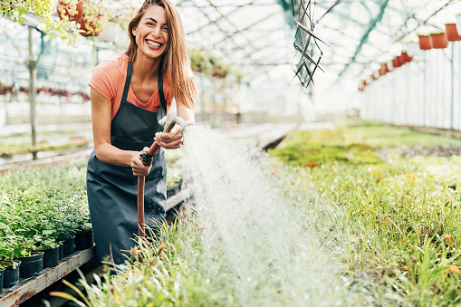 Smiling gardener watering flowers with a sprinkler in the nursery