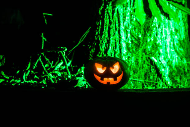 Pumpkin Burning In Forest At Night - Halloween Background. Scary Jack o Lantern smiling and glowing pumpkin with dark toned foggy background. Selective focus