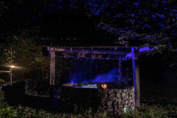 istock Halloween Pumpkins On Wood In A Spooky Forest At Night 1057500358