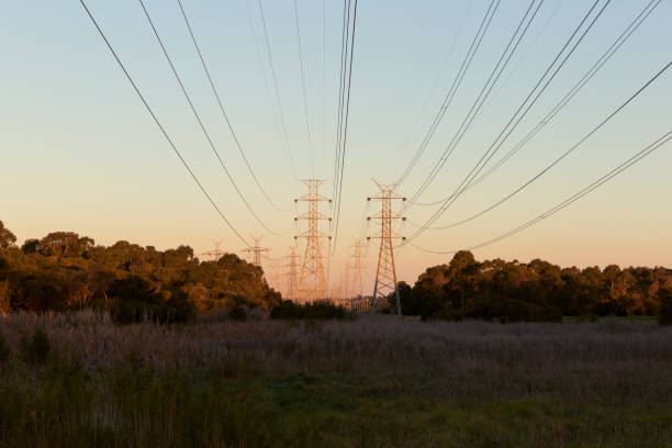 Power Lines Hanging Above Nature At Dusk Power lines hanging above nature at dusk. power mast stock pictures, royalty-free photos & images