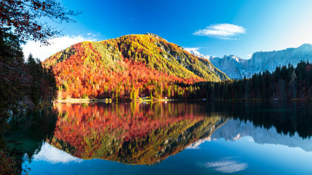 istock Autumn foliage at the alpine lake 1057504988