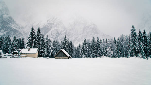 istock Snowfall in the italian alps 1057506274