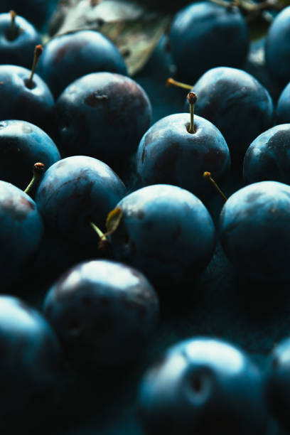 istock many fresh plums on blue background close up 1057507252