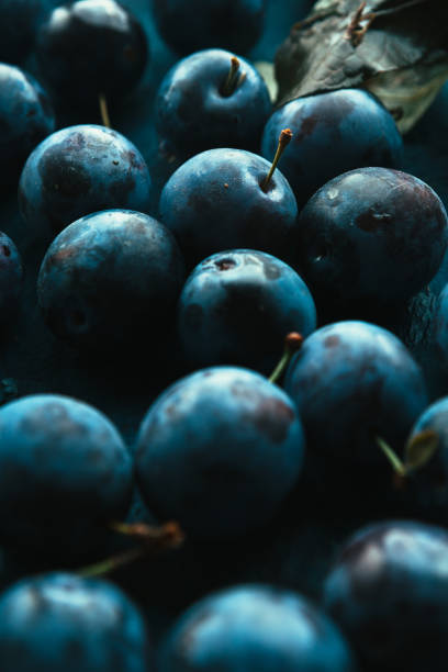 istock many fresh plums on blue background close up 1057509164