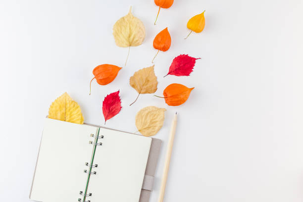 istock Notebook with flying dried flowers and leaves 1057511726