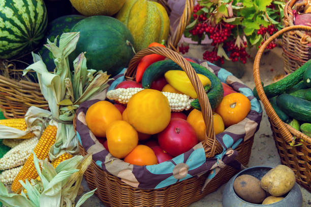 istock fresh vegetables lie on the ground or in a basket 1057515046