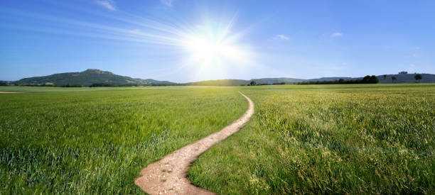 istock dirt road path panorama broad trail swinging sun summer 1057515232