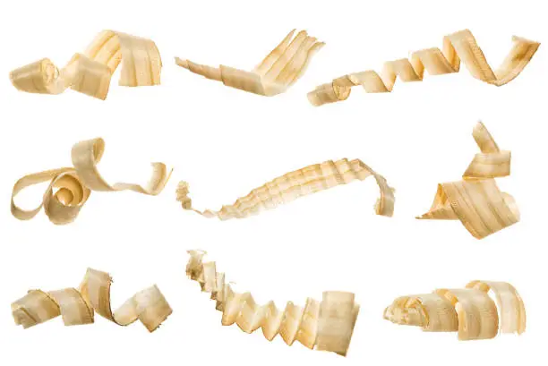 Set wood shavings isolated on white background, including clipping path